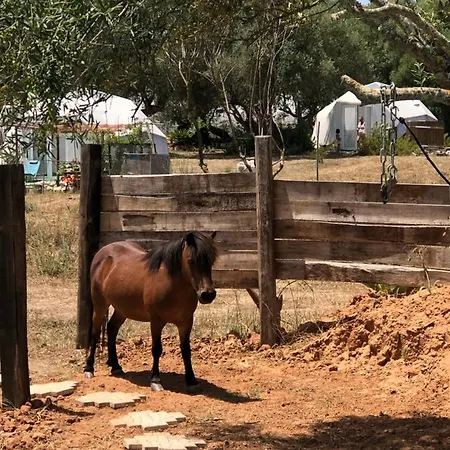 Forest Domes Lüks kamp alanı Setúbal