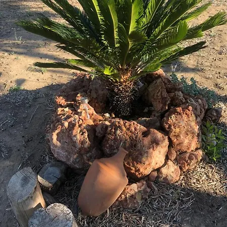 Lüks kamp alanı Forest Domes *