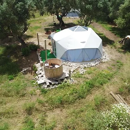 Forest Domes *