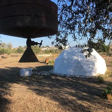 Forest Domes Luxury tent