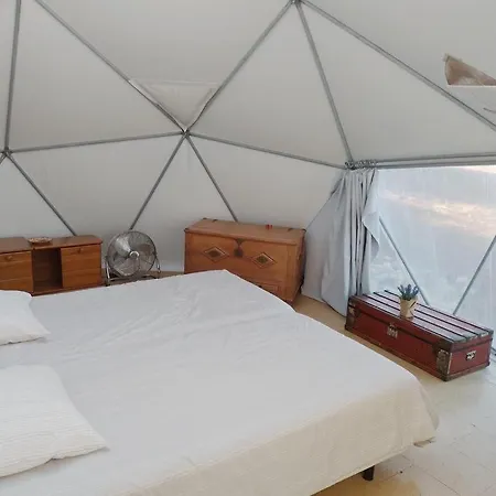 Forest Domes *
